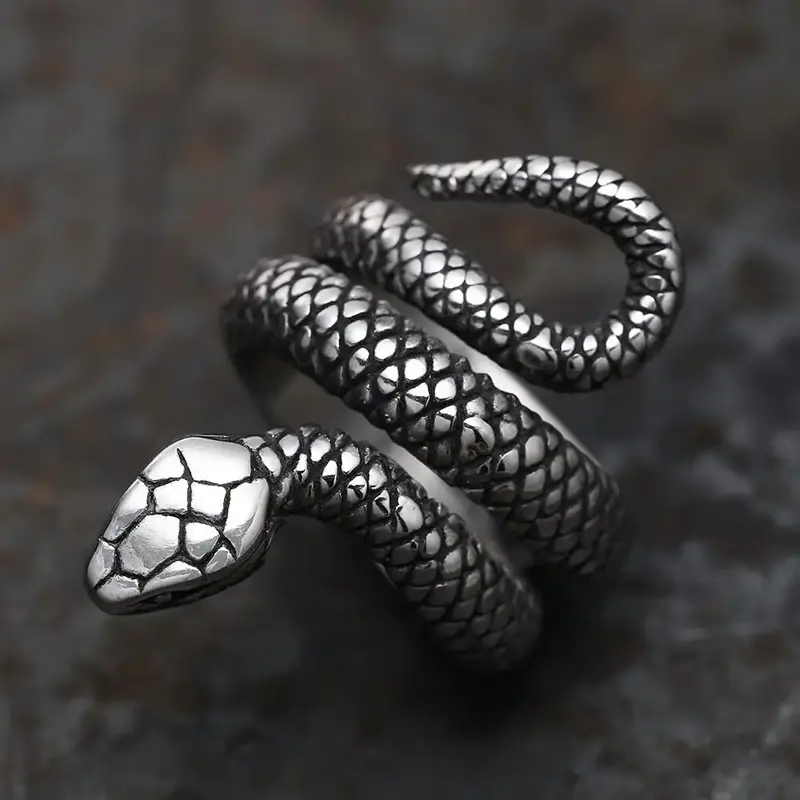 GTHIC Coiled Snake Stainless Steel Gothic Ring for Men Women Gift Size 5-16 Mystery Life Changes