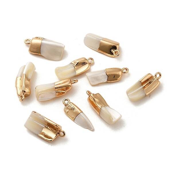 Natural Trochus Shell Pendants