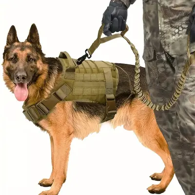 2pcs Dog Harness And Leash Set, Outdoor Tactical Dog Harness Vest And Retractable Dog Leash, Nylon Tactical Training Dog Harn...