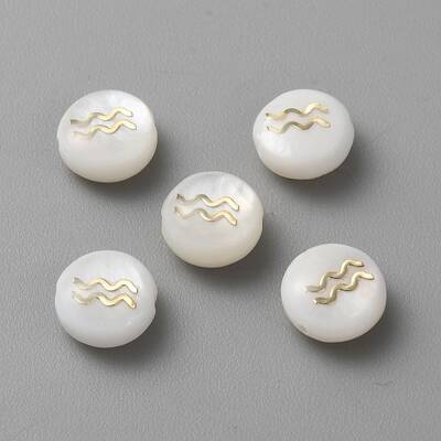 5Pcs Natural Freshwater Shell Beads