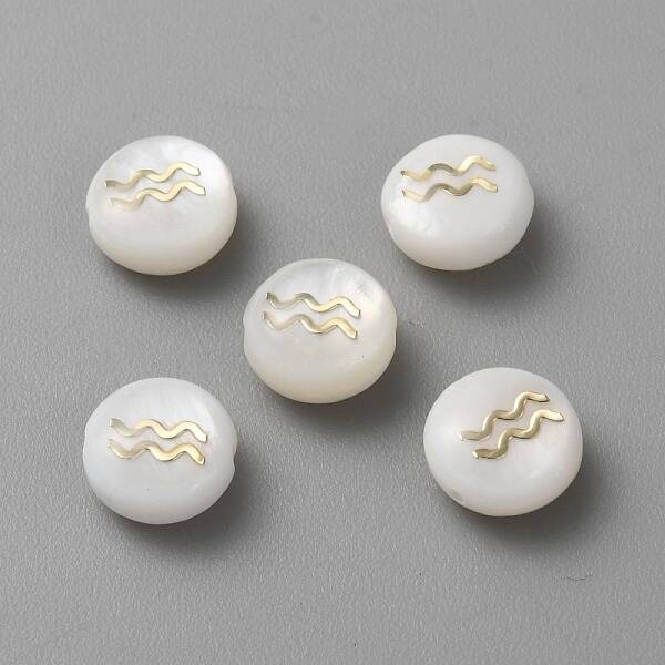 5Pcs Natural Freshwater Shell Beads