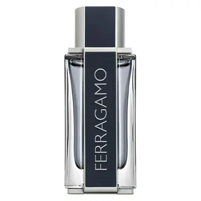 Salvatore Ferragamo Eau De Toilette Spray 100 Ml
