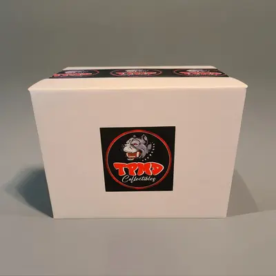 TPMD Collectibles Autographed Mini Helmet Flash Speed Lunar Salute to Service Flats Chrome Styles Sports Collectibles Beckett...