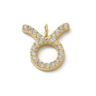 Ion Plating(IP) 304 Stainless Steel Micro Pave Cubic Zirconia Charms