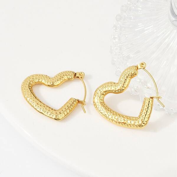 304 Stainless Steel Hoop Earrings for Women
