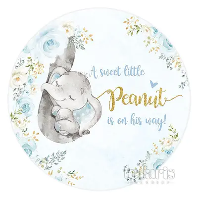 Aperturee A Little Peanut Is On His Way Round Baby Shower Backdrop | Baby Shower Backdrop Ideas | Round Party Backdrop | Cust...