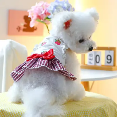 Strawberry Bear Embroidered Bow Pet Dress , Cute Summer Pet Clothes for Small Dogs Cats Puppies Doggies Kittens, Fashion Pets...