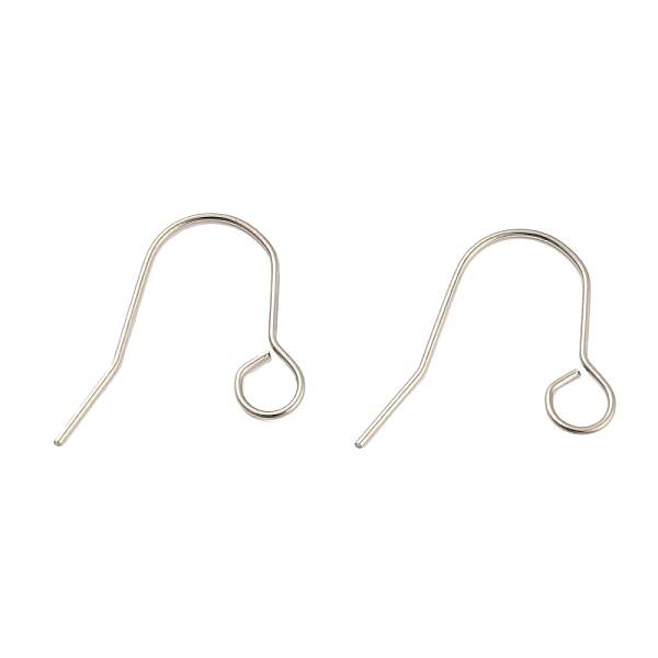 Tarnish Resistant 304 Stainless Steel Earring Hooks