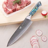 FINDKING Chef Knife, Professional Japanese 67 Layers Damascus Steel Kitchen Chefs Knife 8 Inch, Resin Abalone Shell Handle, R...