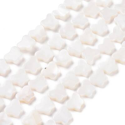 Natural Freshwater Shell Beads Strands