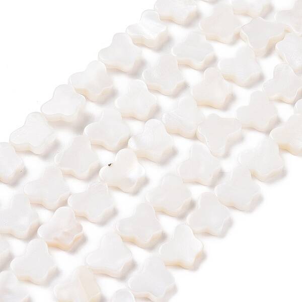 Natural Freshwater Shell Beads Strands