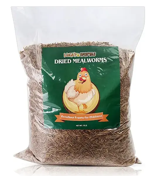 LuckyQworms 10 lbs Dried Mealworms for Chickens Birds Bluebirds Hamsters Turtles Fish Hedgehogs High Protein Omega-3 Fatty Ac...