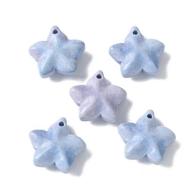 Natural Rainbow Alashan Agate Charms