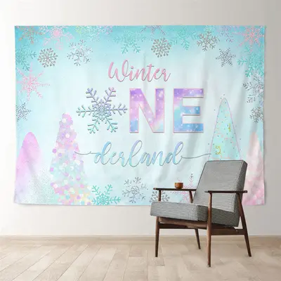 Aperturee Pink Blue Winter ONE Snowflake Birthday Backdrop