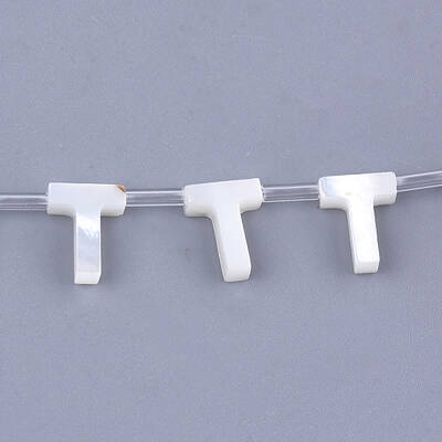 Natural Sea Shell Beads