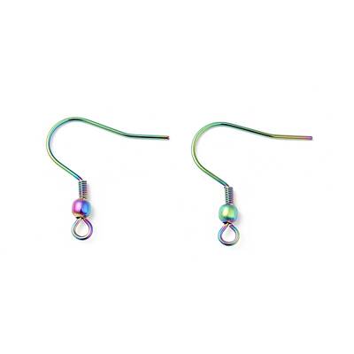 316 Surgical Stainless Steel Hook Earrings