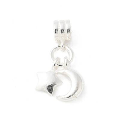 925 Sterling Silver European Dangle Charms