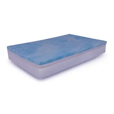 Replacement LiftTex Foam | Size: Medium 24