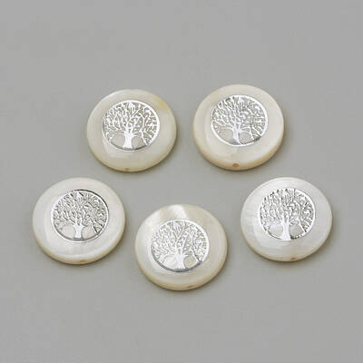 Natural Freshwater Shell Beads