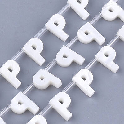 Natural Freshwater Shell Beads