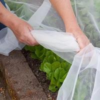 Plant Protective Net, HDPE 60 Mesh Clear Netting, Garden Plant Care Support Net, Garden Supplies for Home Garden, Home Suppli...