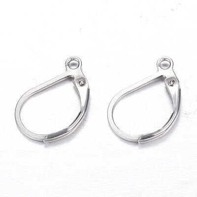Tarnish Resistant 304 Stainless Steel Leverback Earring Findings