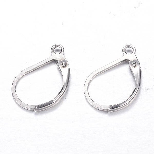 Tarnish Resistant 304 Stainless Steel Leverback Earring Findings