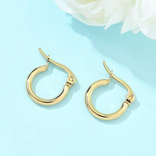 Ion Plating(IP) 304 Stainless Steel Hoop Earrings