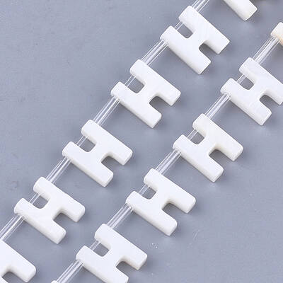 Natural Freshwater Shell Beads