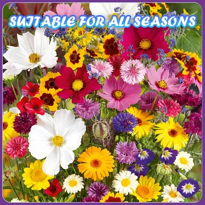 Leaflooms Mixed Flower Seeds - 1000+ Varieties, Easy to Grow, 95%+ Germination Rate, Year-Round Planting, Perfect for Balcony...