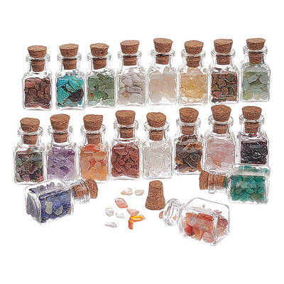 19Pcs Various Gemstone No Hole Chips in Bottles