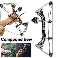 9.5-inch stainless steel mini composite bow, small arrows, suitable for beginner archery practice, entertainment and fun gift...
