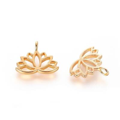 Brass Charms