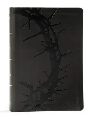 KJV Large Print Personal Size Reference Bible, Charcoal Leathertouch Indexed, Red Letter, Pure Cambridge Text, Type Imitation...