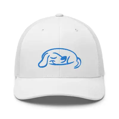 BuddyRest Logo Trucker Cap | Color: Black
