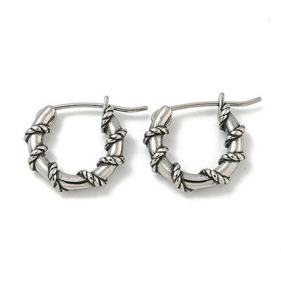 316 Surgical Stainless Steel Hoop Earrings for Women and Men