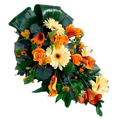 Sunset of Life: Roses and Carnations