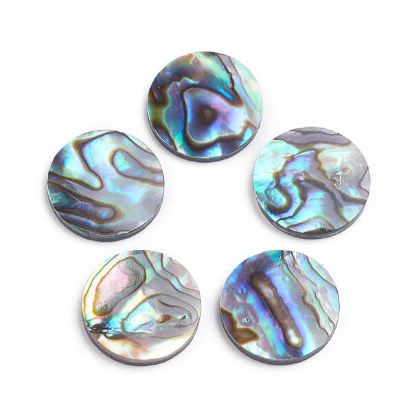 Natural Abalone Shell/Paua Shell Cabochons