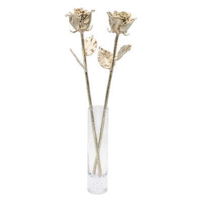 Two 17 20th Anniversary Platinum Dipped Roses in Vase