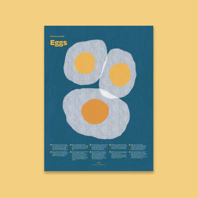Egg Fun Facts Print
