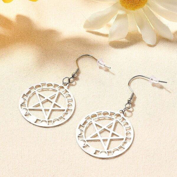 304 Stainless Steel Dangle Earrings