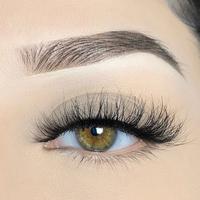 3D Lashes (Innocent)