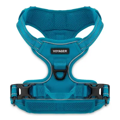 Dual-Attachment Dog Harness