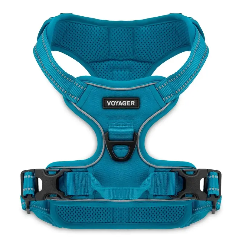 Dual-Attachment Dog Harness
