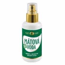 Purity vision Organic Mint Water - 250 ml