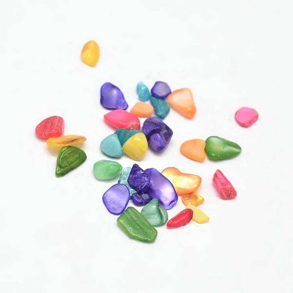 Dyed Natural Freshwater Shell Chip Beads