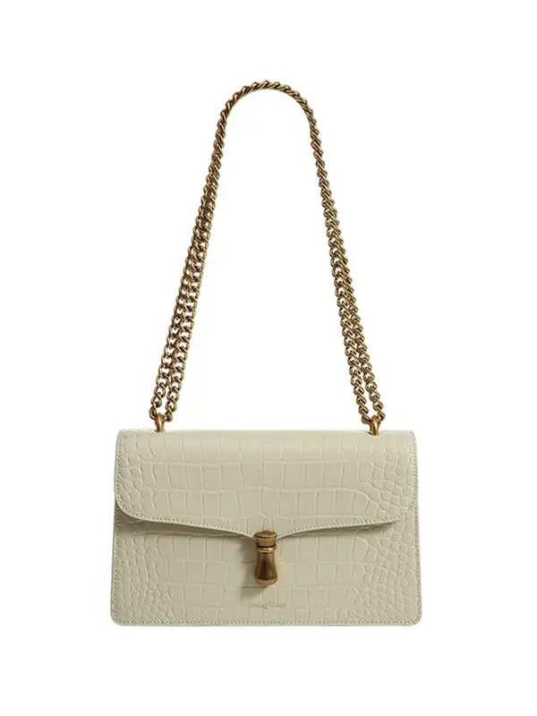 Smting croc chain flap bag