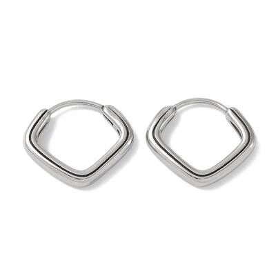 Non-Tarnish 316 Surgical Stainless Steel Hoop Earrings for Women