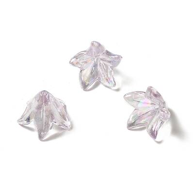 Transparent Acrylic Bead Caps