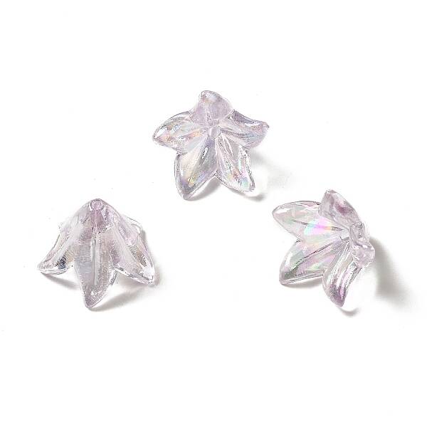 Transparent Acrylic Bead Caps